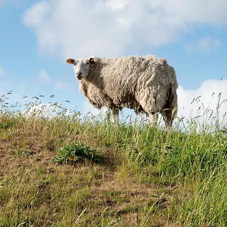 Deichzeit بيت للعطل